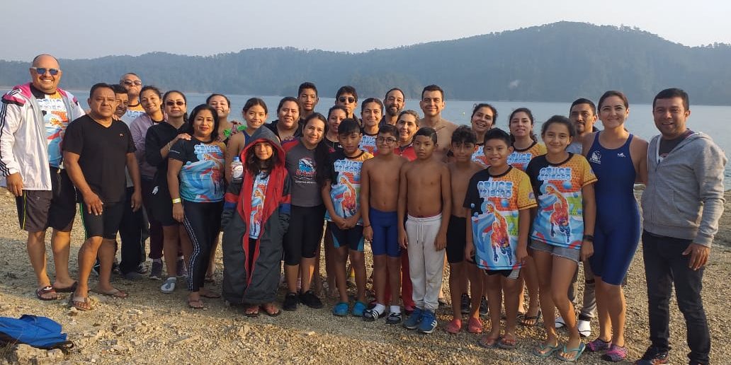 Delfines en el Cruce Foto 2