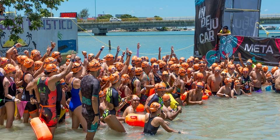 Delfines en Ruta de El Delfín Foto 2