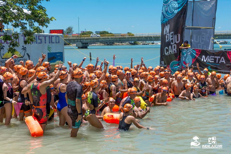 Delfines en Ruta de El Delfín Foto 2