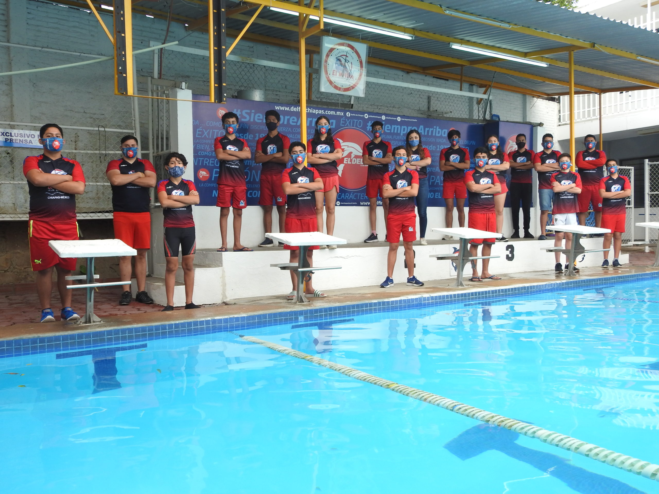 Delfines con Reto Virtual Foto 1