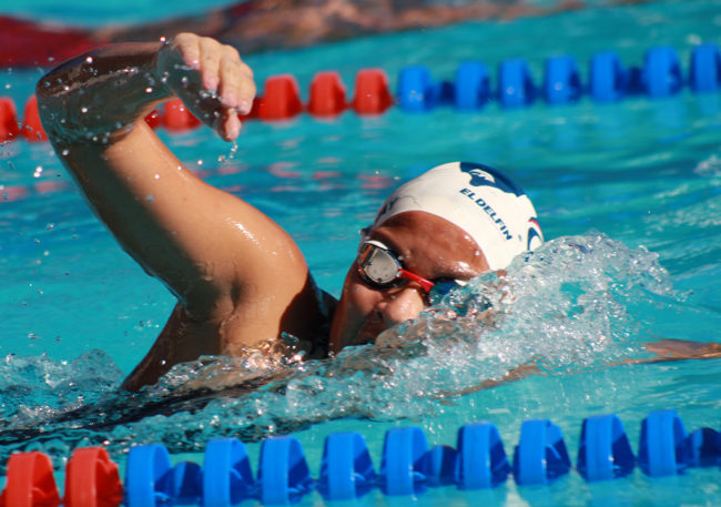Delfines con pases al Gran Prix Foto 1