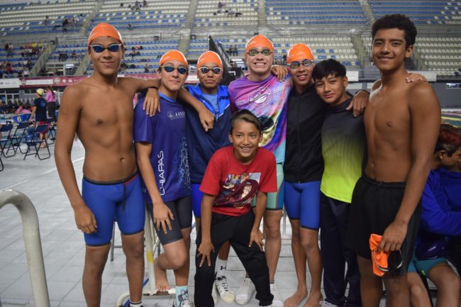 Delfines en el Nacional de Verano Foto 2